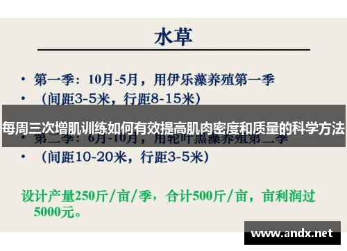 每周三次增肌训练如何有效提高肌肉密度和质量的科学方法