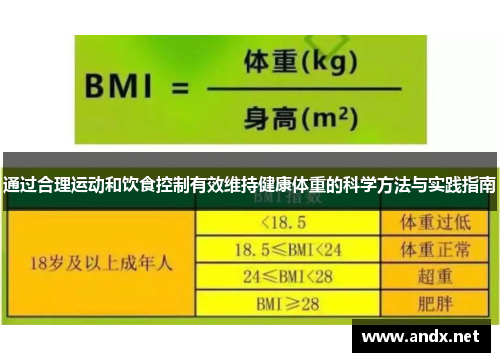 通过合理运动和饮食控制有效维持健康体重的科学方法与实践指南