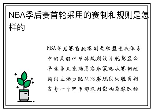 NBA季后赛首轮采用的赛制和规则是怎样的